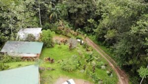 screen_352efbdd0f08e6aa_1729094370000