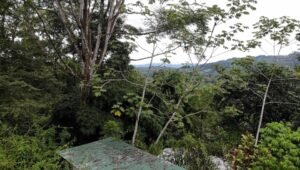 screen_3cd63578b33fb1a9_1729094240000