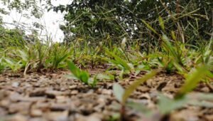 screen_6f740f1c26f983ae_1729094086000