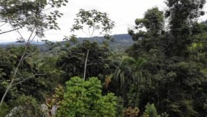 screen_7e01d56c487e44e2_1729094246000