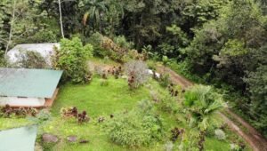 screen_9aaceea7d1313fa8_1729094326000