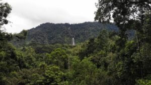 screen_d736075d698d7dc3_1729094284000