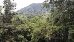 screen_ff8bf290b5cf969f_1729094262000