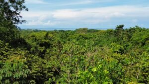 Cano Island withDrone