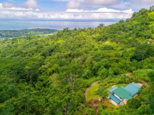 DJI_20250529090332_0054_D