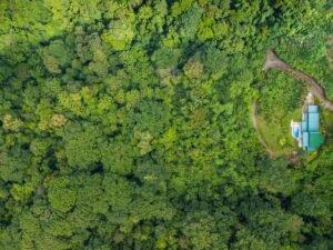 DJI_20250529091103_0062_D