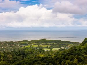 DJI_20250529095031_0066_D