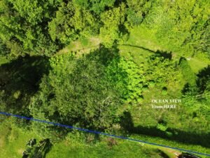 Drone Shot2 – marked up