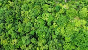 WhatsApp Image 2023-07-16 at 10.13.35 AM (1)