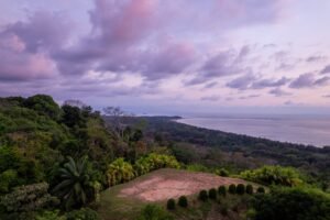 WouterDeLange–15-edit