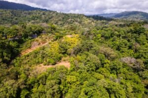 WouterDeLange–2(1)