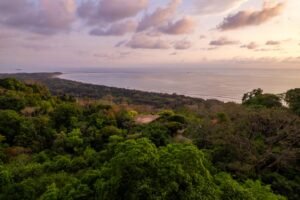 WouterDeLange–8-edit