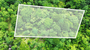 above view of lote 4 v2