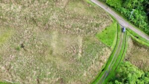 dji_fly_20241219_081140_319_1734617678261_photo_optimized