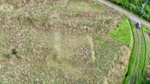 dji_fly_20241219_081228_320_1734617651130_photo_optimized