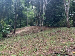 ground view 4 of lote 4