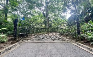 11-The Landings-Lot 11-Coronado