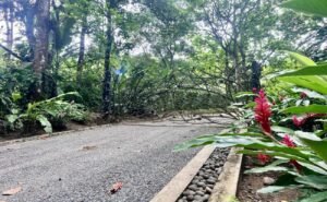 12-The Landings-Lot 11-Coronado