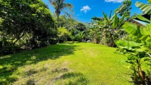 120006 – apartments 05