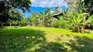 120006 – apartments 06