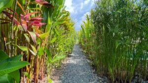 120006 – apartments 15