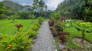 120006 – apartments 42