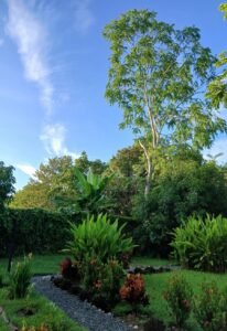 120006 – apartments 52