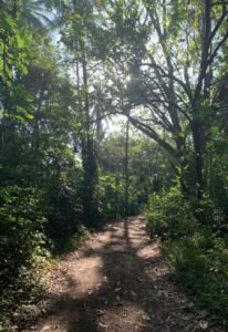 120006 – apartments 57