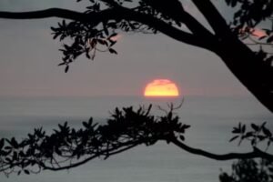 120013 – Finca Perla04