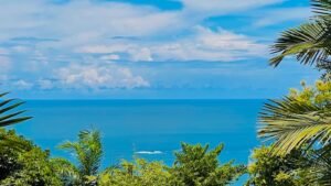 120013 – Finca Perla15