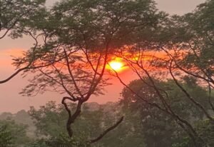 120013 – Finca Perla29