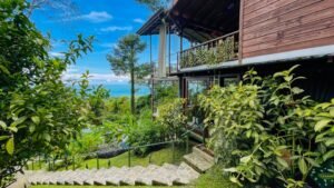 120013 – Finca Perla38