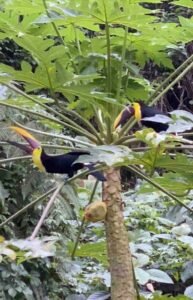 120013 – Finca Perla65