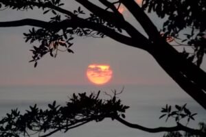 120013 – Finca Perla83