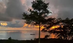 120013 – Finca Perla85