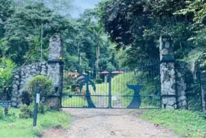 120013 – Finca Perla89