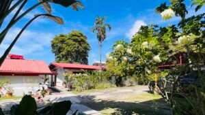 130032 Golfito Hotel 22