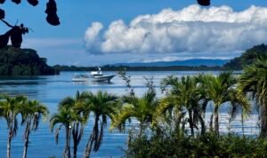 130032 Golfito Hotel 36