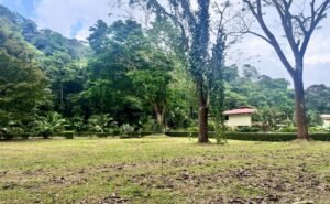 14-The Landings-Lot 11-Coronado