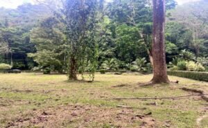 15-The Landings-Lot 11-Coronado