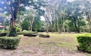 17-The Landings-Lot 11-Coronado