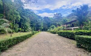 18-The Landings-Lot 11-Coronado