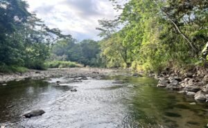 23-The Landings-Lot 11-Coronado