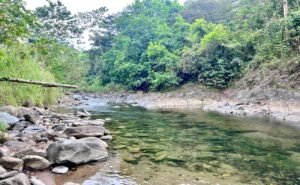 24-The Landings-Lot 11-Coronado