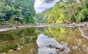 25-The Landings-Lot 11-Coronado