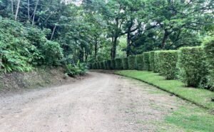 27-The Landings-Lot 11-Coronado