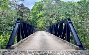 28-The Landings-Lot 11-Coronado