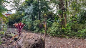 4560 House For Sale Buganvilla Ojochal 28