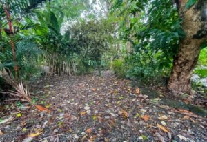 4560 House For Sale Buganvilla Ojochal 29x