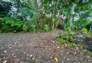 4560 House For Sale Buganvilla Ojochal 30x